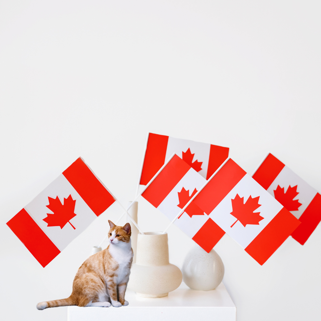 Picture for category Canadian Made Cat Treats